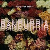 ave bandurria peru  Bandurria