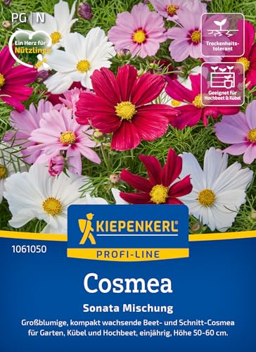 Kiepenkerl Profi-Line Cosmossamen Sonata Mischung 1061050 - Großblumige kompakt wachsende Beet- und Schnitt- Cosmea - Wildblumensamen Blumenwiese