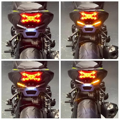 Support plaque d'immatriculation Kawasaki ZR900 en alliage robuste avec LED Type C