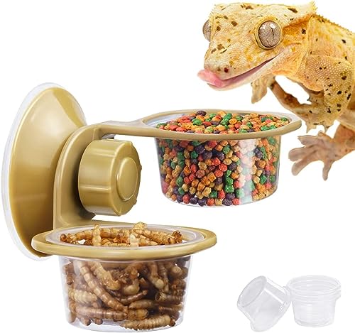 LATRAT Comedero para reptiles, comedero para reptiles, cuenco para beber, estación de alimentación de gecko, soporte con ventosa para terrario, reptiles, lavabo doble
