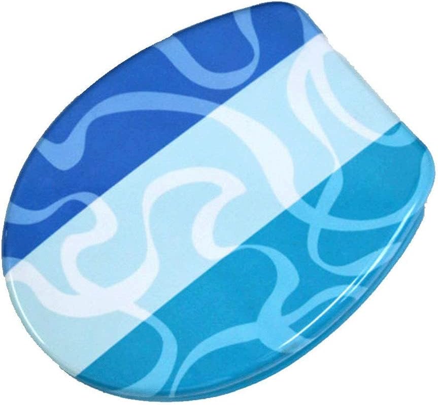 Toilet Lid - Seat will Slow Close, Never Loosen and Provide the Fit, Highly Stylized