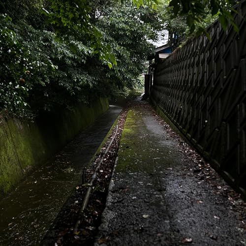 #10 カワウソに騙される 前編