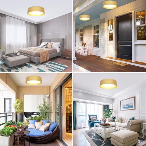 Image of Flush Mount Ceiling Light, 16in Modern Ceiling Light 5 Color Temperature