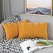 UPOPO Cojines Raya Sofa Terciopelo Funda Decorativos Cojin Salon Cama para Super Dormitorio 2 Piezas de Color Sólido De Cojín Suave Almohada Sala De Estar con Cremalleras 30 X 50 cm Naranja