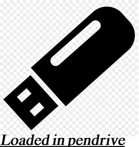 GTA V (PC GAME) LATEST VERSION Loaded in pendrive (Free) : Amazon.in: Video  Games