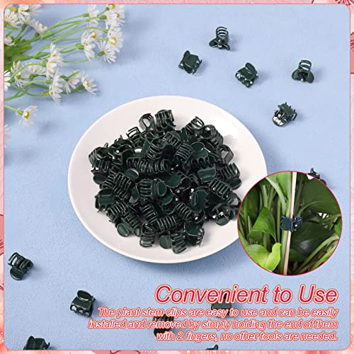 Pinenuts 100 Stück Orchideen Klammern Pflanzenclips, 1.5 cm Dunkelgrüne Orchideen Clip Kunststoff Pflanzenklammern für Unterstützen und Halten Pflanze