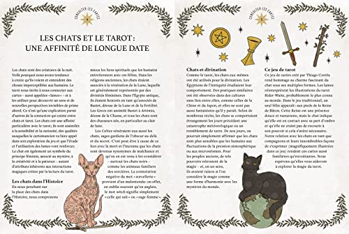 Tarot Le Pouvoir des chats - Image 3
