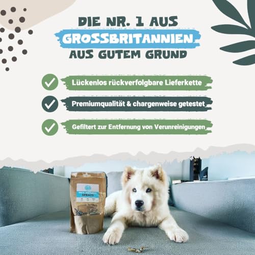 Pets Purest Sprotten Hundesnack & Katzensnack 100g - Natürlicher, luftgetrockneter Fischsnack für ausgewachsene/ältere Hunde, Welpen, Katzen - Getreide-, Gluten- & laktosefreie