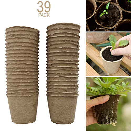 Schone Products (UK) 6 Cm - Round Peat Pots- Organic Biodegradable- Start Your Dream Garden- For Seeds, Starter, Saplings  39 PCS