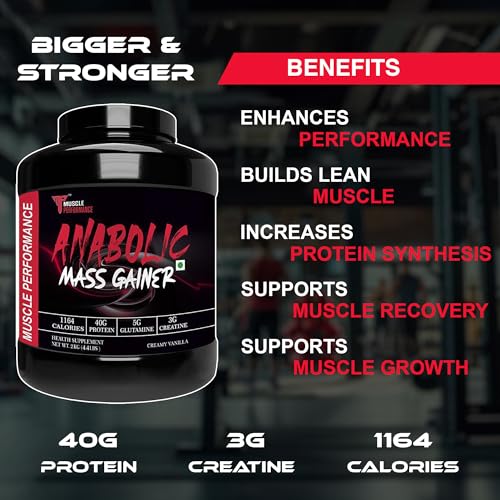 Image of Anabolic Mass Gainer, 1164 Calories & 40g Protein, Creatine & Glutamine Blend, Digestive Enzymes & Probiotics, Creamy Vanilla, 2kg | High Protein Carbs, With Creatine, BCAA & Glutamine, Digestive Enzymes, For Muscle Gain & Fast Growth