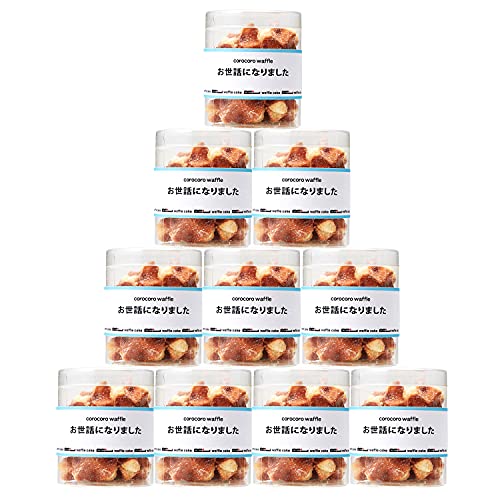 R.L クッキー お菓子 ギフト メッセージ お世話になりました プチギフト 10個 手提げ袋付き