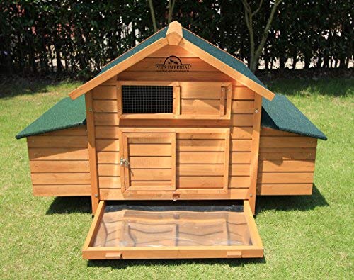 Pets Imperial® Savoy Hühnerstall mit Doppelnistkasten - 6 einzelne Nistplätze - 150 cm (B) x 100 cm (T) x 96 cm (H) – Bild 4