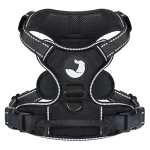 Joytale No Pull Dog Harness for Extra Large Dogs, Reflective Pet Vest with Front Clip, Adjustable Soft Padded Harnesses with Easy Control Handle for Training and Walking, Black, XL
