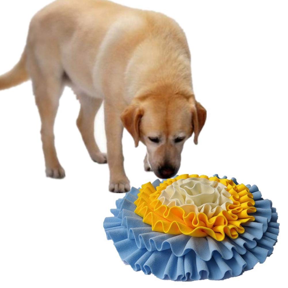 Why Do Dogs Bury Food With Nose