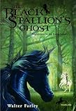  The Black Stallion\'s Ghost