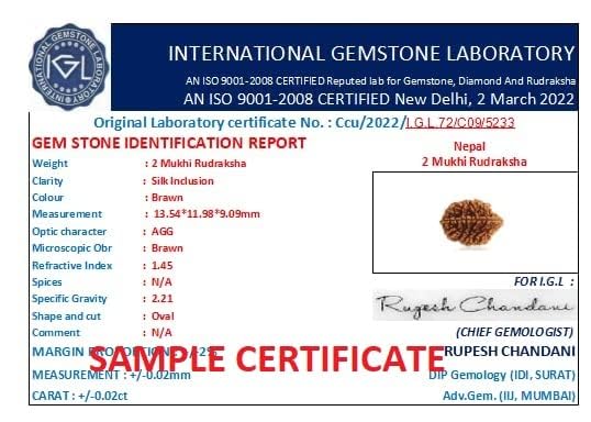 Astro Cart Do Mukhi Rudraksa Pendant 2 Mukhi Rudraksha Nepal Bead Two Face Rudraksha with Lab Certificate दो मुखी रुद्राक्ष 2 Face Rudraksha Original for Savan Puja 2