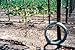 Grapevine Trellis Wire - 9 Gauge 170 Feet