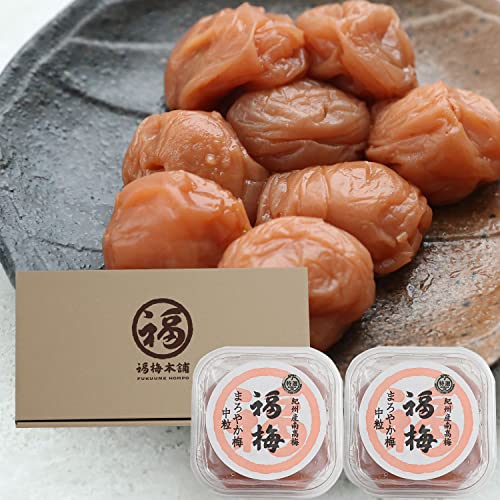 【 福梅本舗 】最高級紀州南高梅(和歌山県産) ご家庭用 まろやか梅 塩分10%【中粒】ごはんにも合うはちみつ梅 紀州梅干し 甘さと酸っぱさがちょうどいいまろやかなお味 (500g(250g×2 化粧箱入り))