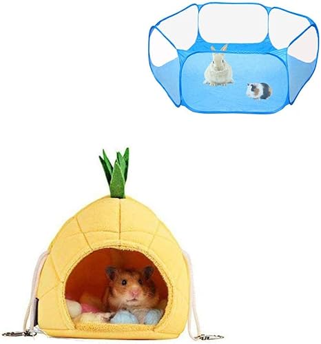 sugar glider accessories amazon