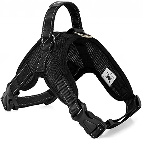 Pettorina per cani, comfort Control Dog