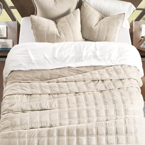 EverGrace 3 Pieces Luxurious Velvet Quilt Queen Size, Ultra Soft Bedspread Coverlet Set, Double Box Stitch Lightweight Velvet Comforter for All Season with 2 Shams, Beige, 92"x96" by EverGrace - Image 4