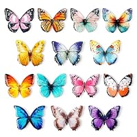 Refrigerator Magnets Butterfly Fridge Magnet Cute Magnets for Fridge – Set of 14, Realistic Design Magnets Creative and Colorful Magnetic Kitchen Decor