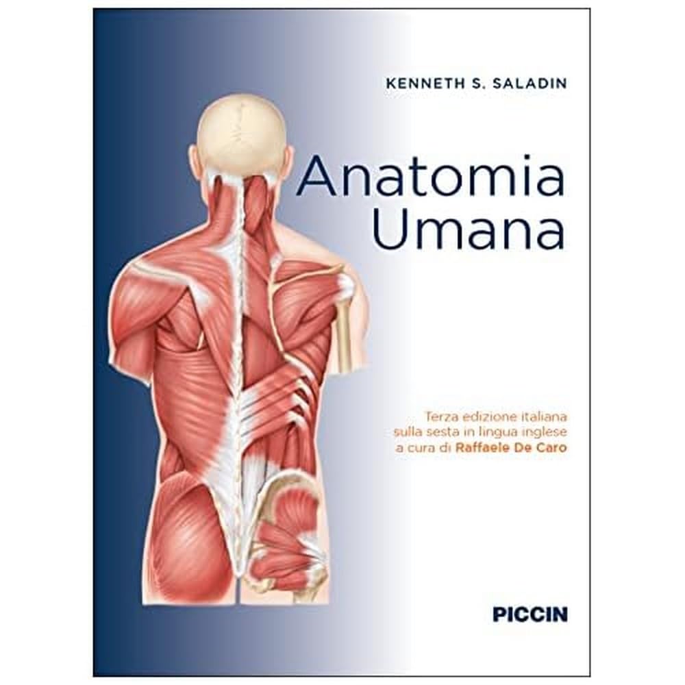 Anatomia umana