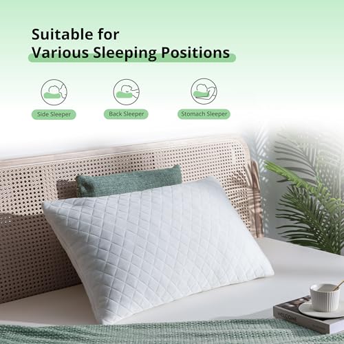 Image of EGOHOME Comfort Shredded Memory Foam Pillows, Adjustable Bed Pillows for Side, Back or Stomach Sleepers, Queen Size with Removable Cover (2 Pack, Adjustable)