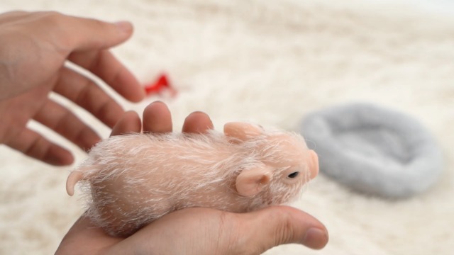 Silicone Pig Silicone Piglet with Pig Bowknot Nursing Bottle and