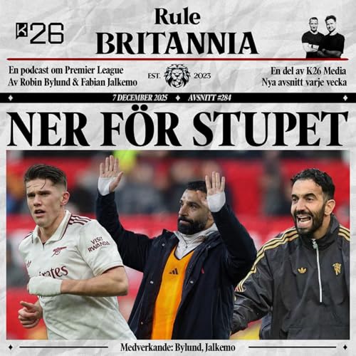 #284 Ner f&ouml;r stupet cover art