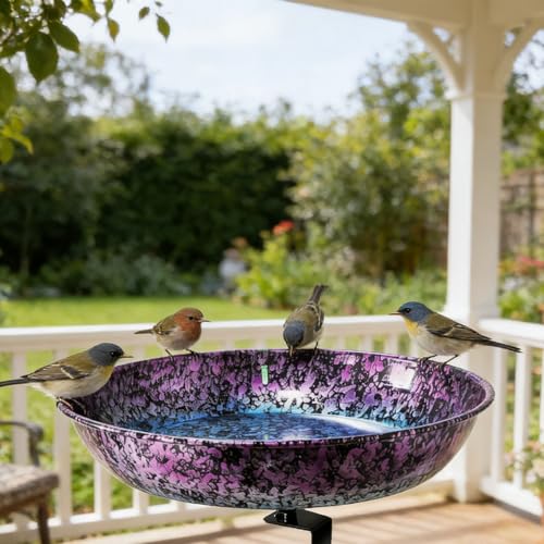 Bain d'oiseaux en fer avec bol d'eau extérieur et support réglable de clôture - 6