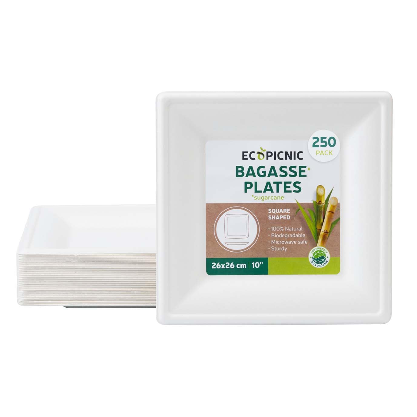 Piatti Quadrati in Fibra di Zucchero 26x26 cm 10" - Confezione da 250 Pezzi | Piatti Biodegradabili e Compostabili Monouso per Feste, Finger Food, Eventi Eleganti e Buffet