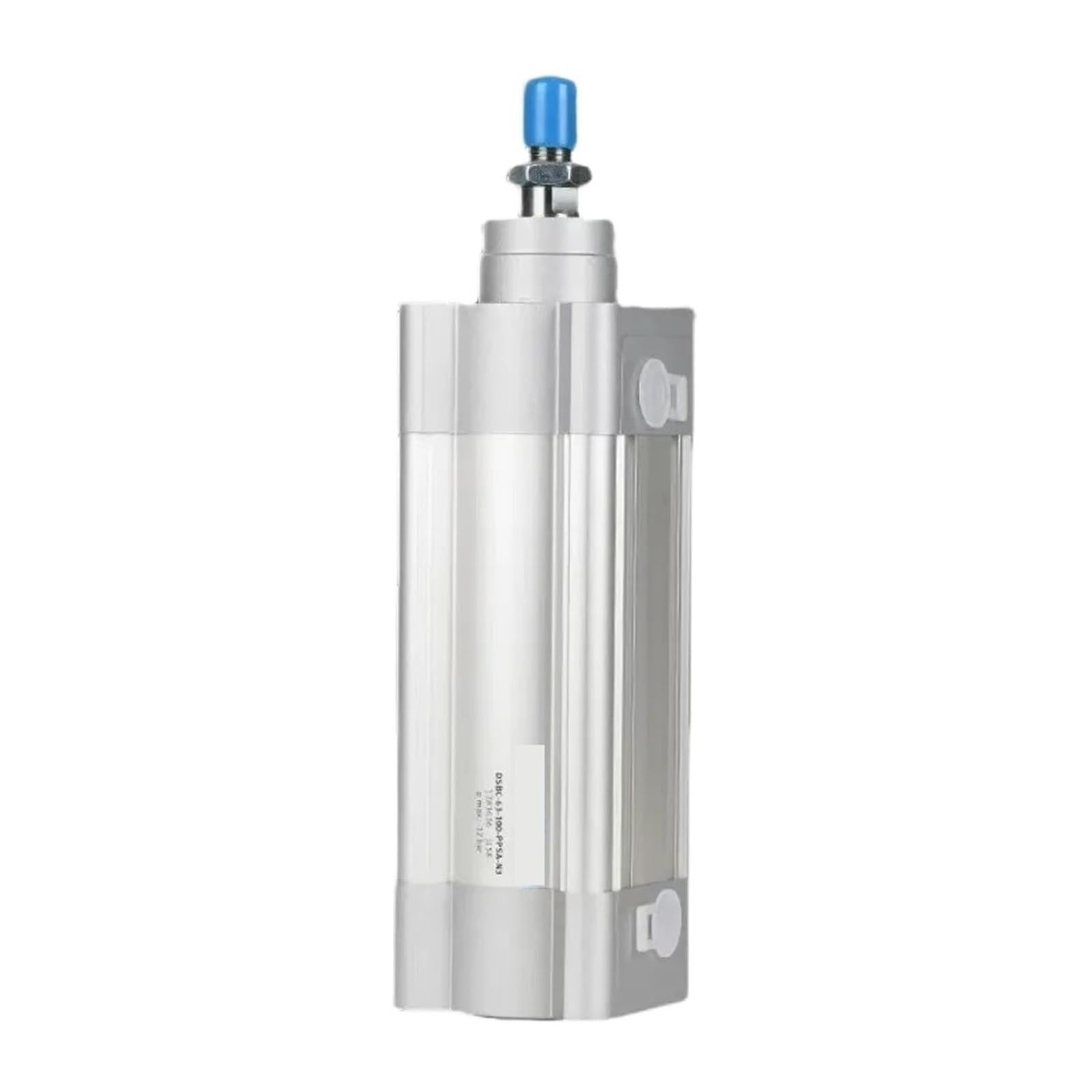 RISWEKFW Cylinder DSBC-32-40-50-63-80-100-125-2-160-200-PPVA(DSBC-32-150-PPVA-N3)