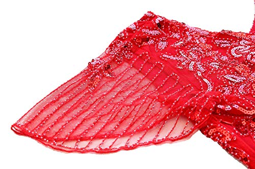 Image of Women 1920s Gatsby Vintage Sequin Flapper Fringe Party Plus Dress with 20s Accessories Set