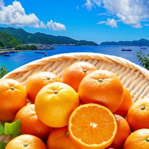 ���� ���񂩂� �݂��� �󂠂� 10kg ���n �ƒ�p �K�i�O (5kg��×2) �����哇�Y �T�C�Y���C���y�ƒ�p�z�󏭊��k�y�o�ד����C���E�\��i�z�M�t�g ��B���� �썑 �t���[�c �ʕ�