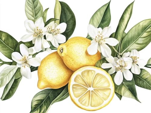 Peinture par numéro adulte sur toile pour réussir sa décoration murale sans savoir dessiner