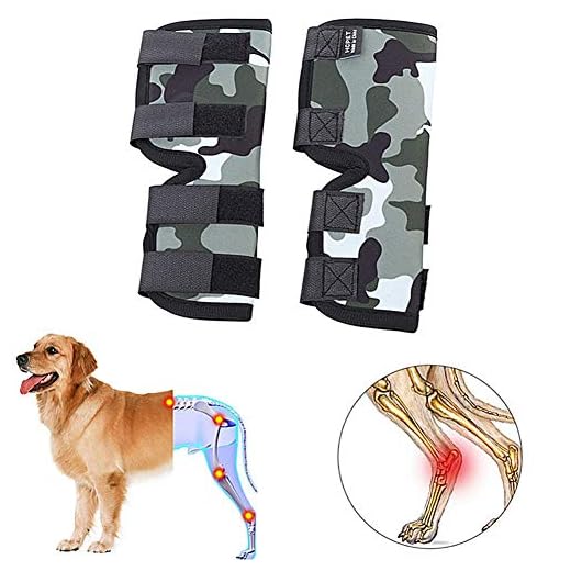 ZUOLUO Hund benstöd hund bandage gemensamt stöd hundar höft och led för hundar hund ben sår skydd hund ben bandage hund ledsstöd tasskydd för hundar l