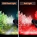 BUYSIGHT Wiederaufladbare Scheinwerfer-Taschenlampe, TURE 1600 hohe Lumen Hand-Scheinwerfer Wasserdichte Taschenlampe Jagdscheinwerfer mit rotem Filter (Graphit Schwarz-COB)