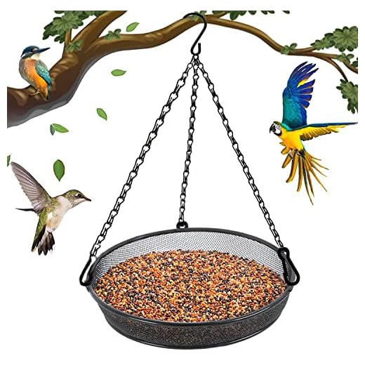 Bird Feeder, Hanging Bird Feeders for Outdoors Metal Mesh Birdfeeder Tray