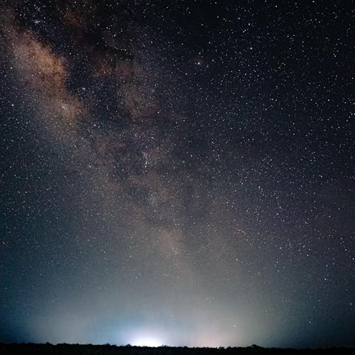 Ana Patricia Noguera. Poetizar el mundo es el único camino para re-habitarlo