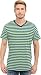 U.S. Polo Assn. Men's Candy Striped V-Neck T-Shirt, Grass Heather, Large