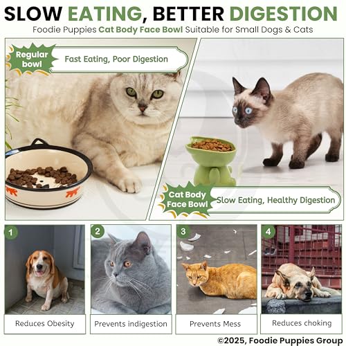 Image of Foodie Puppies Cat Tilted Food and Water Feeder (CatBody Face Bowl, Pack of 2) | Durable, Anti Vomiting, Healthy Cat Bowl for Persian Cat Prevent Tipping Over | Elevated Feeder for Cats and Small Dogs