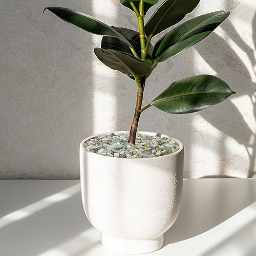 Image of YISZM 10LB Succulent and Cactus Pebbles, 1 /5 Inch Jade Natural Decorative Polished Stones, River Rocks for Plants, Vases and Outdoor Gardening,Green