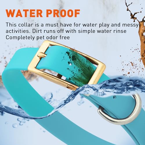 Image of Viper Biothane Heavy Duty Waterproof Dog Collar Strong Coated Nylon Webbing w /Solid Brass Hardware Odor-Proof Easy to Clean High Performance Fits Small Medium or Large Dogs, Sky Blue