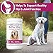 Vet Classics Re-Flex Ultra Extra-Strength Joint Support Dog Supplement – Includes MSM, Creatine, Glucosamine, Green Lipped Mussel – Supports Healthy Dog Joints – Chewable Tablets 120 Ct.