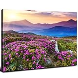 Blue Ridge Mountain Sunset Wall Art nature art wall decor Purple Flowers Pictures for Living Room Bedroom Appalachians Wildflower Scenery Painting Floral Poster Canvas Prints Home Decorations 16x24”