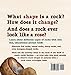 Can a Rock Grow? (Early Science Questions)