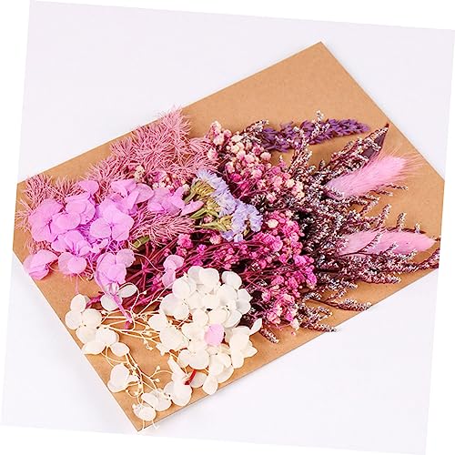 Kit de flores secas para manualidades decorativas miniatura 4