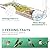 SUNALLY Window Bird Feeder for Outdoors, Clear Bird Feeders Window Mounted with Strong Suction Cups, Transparent Bird House Outside Wild Bird Watching for Garden, Yard, Elderly Kids Viewing