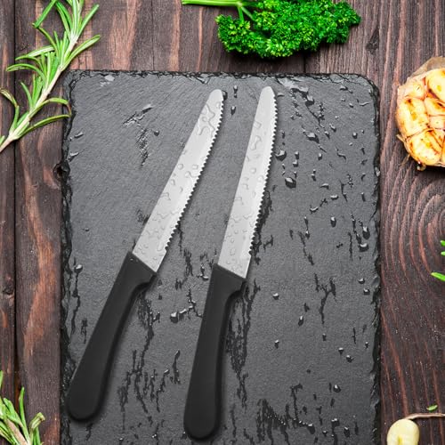 Image of 36 PCS Steak Knife Set - Stainless Steel Steak Knifes 8.7 Inch with Dishwasher Safe Steak Knoves,Metal Steak Knife,Dinner Knife Silverware for Home,Kitchen or Restaurant